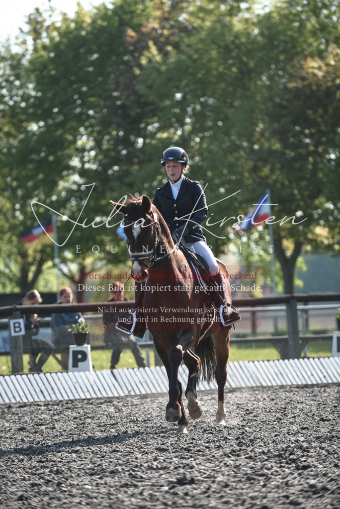 DSC_8286 | Pferde- und Turnierfotografie in Westsachsen. Pferdeportraits, Auftragszeichnungen und intuitive Kunst.
