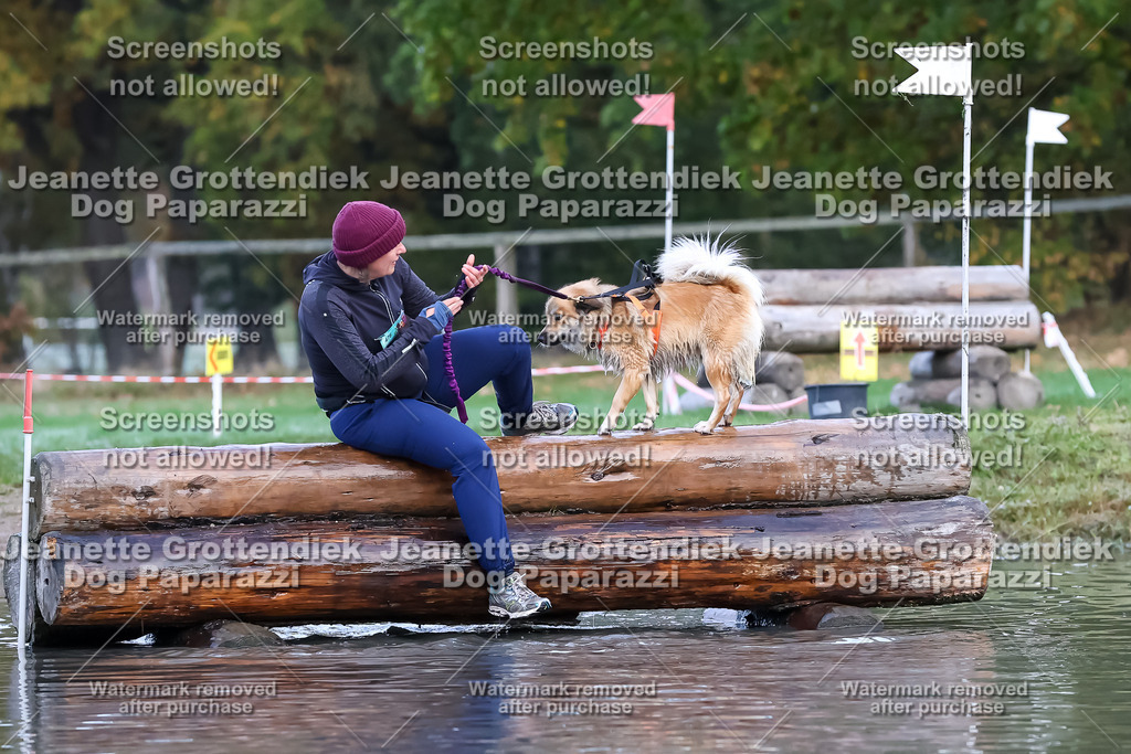 Dog Paparazzi - Strongdog 10-25-6365 | Dog Paparazzi Jeanette Grottendiek Fotografie & Videografie - Realisiert mit Pictrs.com