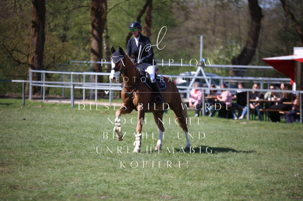 IMGT5619 | pl-fotografie