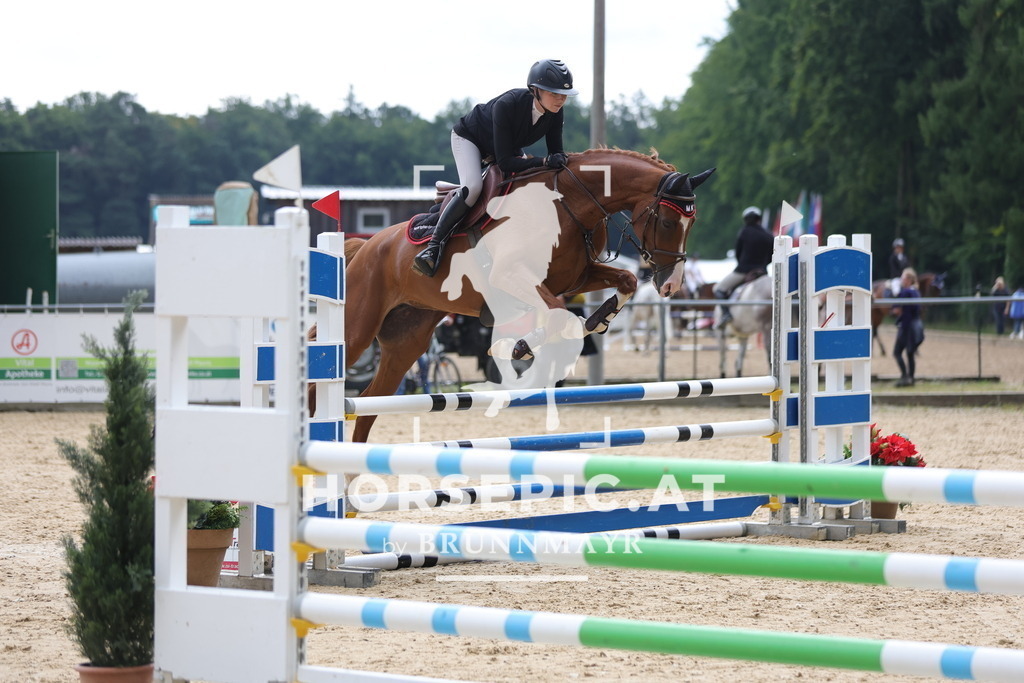 0P6A3847 | Willkommen bei Brunnmayr - Design & Fotografie – Ihrem Spezialisten für Reitturniere und Pferdeveranstaltungen in Oberösterreich, Salzburg und Bayern! Seit über 17 Jahren sind wir leidenschaftlich dabei.