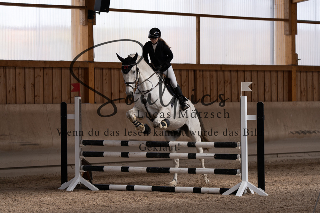 A7507816 | Pferdefotograf