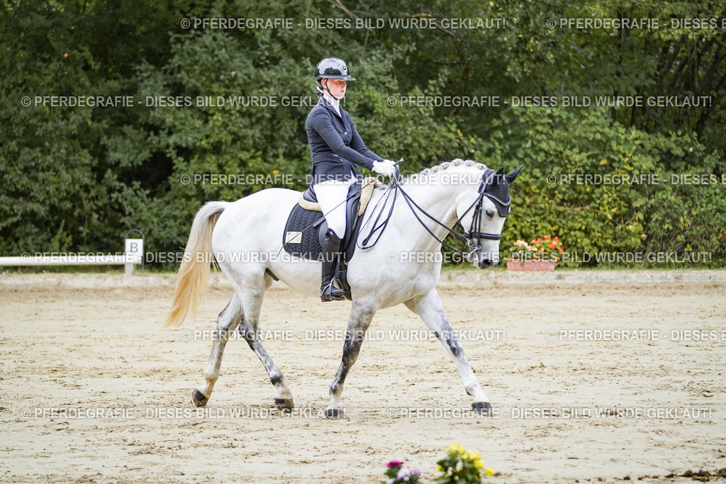 DSC08526 | Pferdegrafie