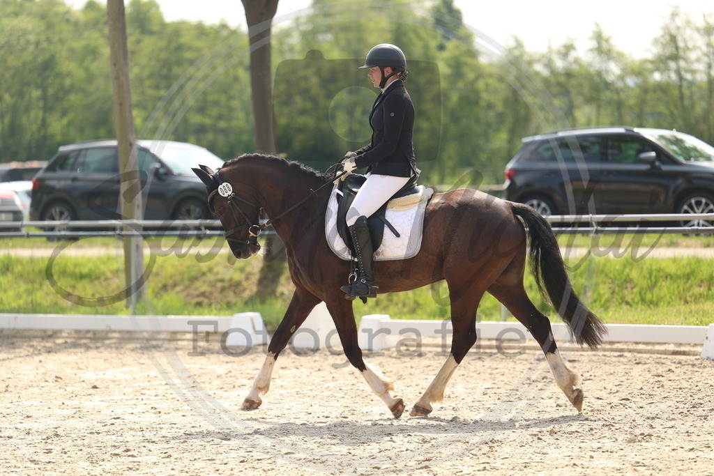 994A6567 | sabrinanicolaifotografie - Realisiert mit Pictrs.com