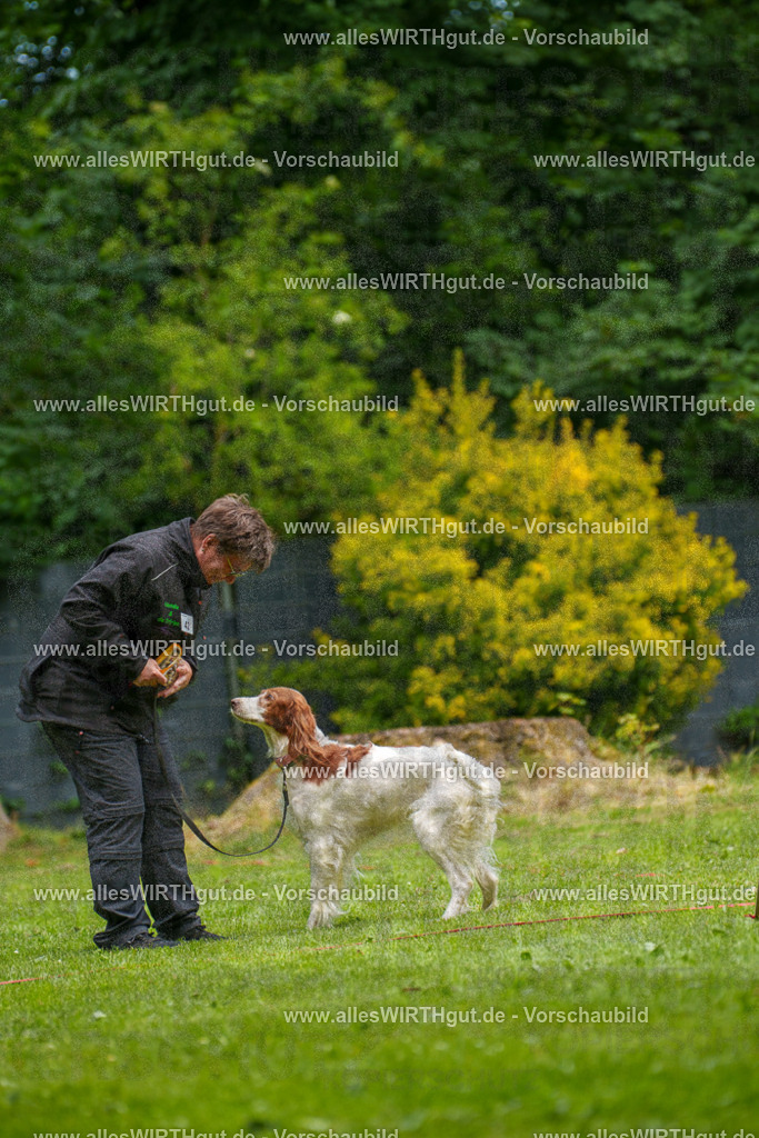 @allesWIRTHgut_Tierfotografie - www.allesWIRTHgut.de - 131716-7R500017 | Professionelle Tierfotografie in Mönchengladbach von Daniel Wirth (allesWIRTHgut). Liebevolle & natürliche Bilder von Hunden & Katzen für unvergessliche Erinnerungen.
