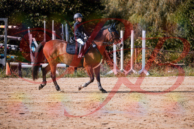 2026_10_03_Siefer-Hof_143727_Z81_05992676 | Professionelle Reitsport-, Turnier- und Eventfotografie von Robert Broda. Galerien mit ausgewählten und bearbeiteten Bildern direkt online ansehen und bestellen.