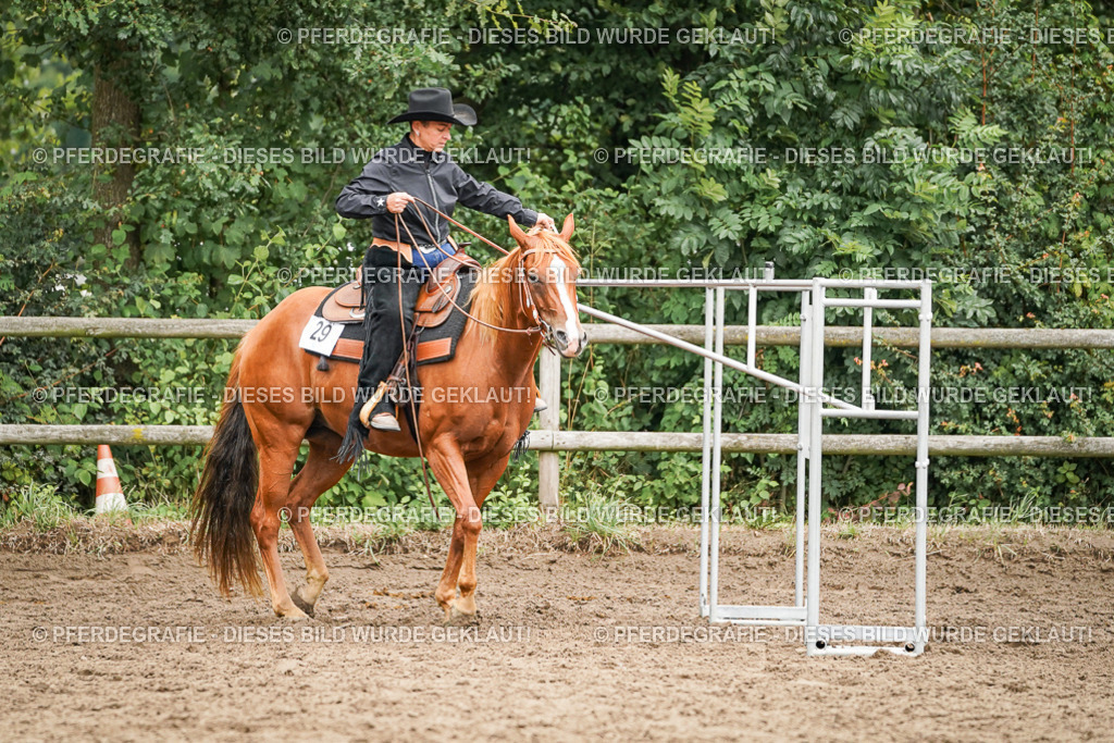 DSC03538 | Pferdegrafie