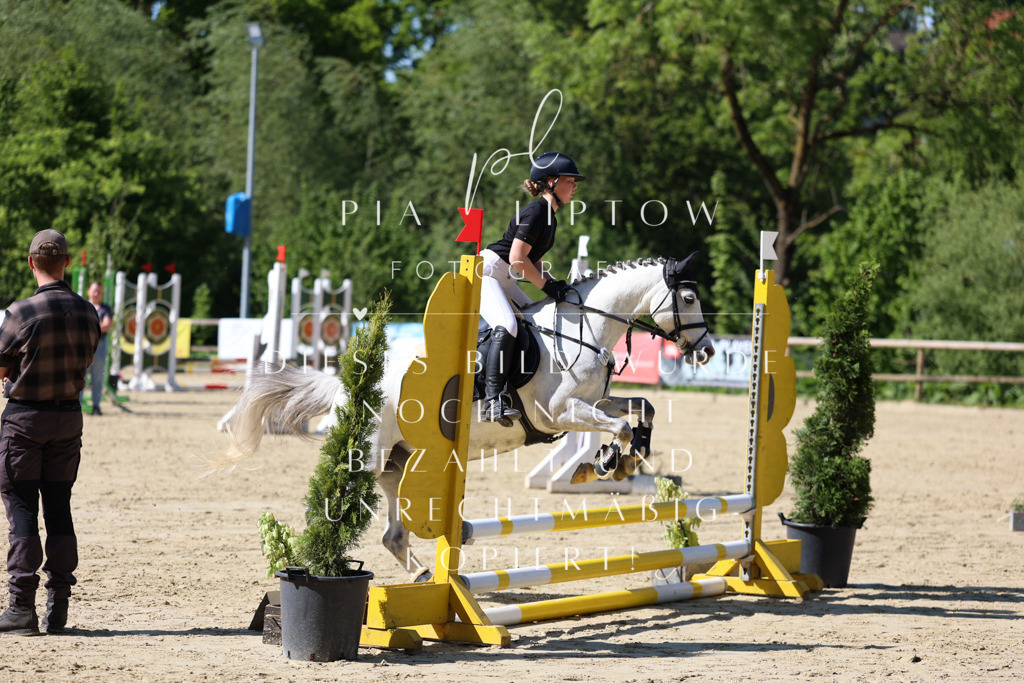 IMGS4611 | pl-fotografie