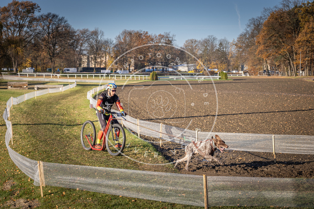 CaniXpix_DV3A2035 | Hundefotografie, Tierfotograf, Pfotenfotografie, Fotoshooting Hund, Hunde Portrait, Hundesport, Hundeportraits, Heideshooting, Hunde, Sportfotograf, Hundefotograf, Turnierhundsport, THS,  - Realisiert mit Pictrs.com