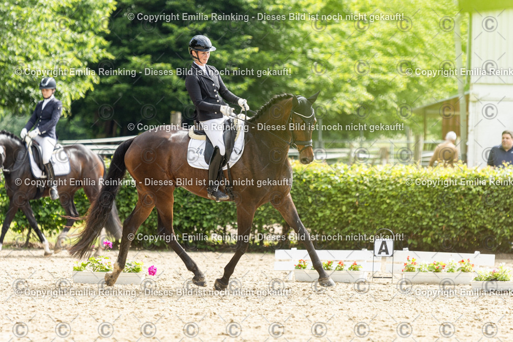 CL5A5736 | Emilia Reinking Fotografie - Realisiert mit Pictrs.com