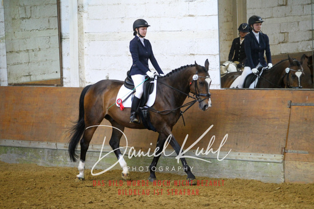 DKP43800 | Turniersportfotografie; Pferdefotografie; Dressurfotografie