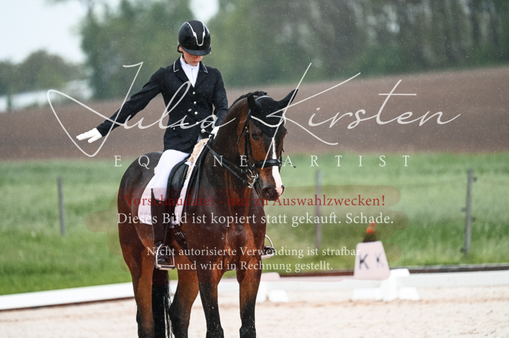 DSC_4130 | Pferde- und Turnierfotografie in Westsachsen. Pferdeportraits, Auftragszeichnungen und intuitive Kunst.