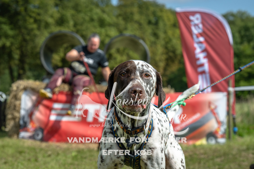 1310_ZZ92513 | kk-dogfotos