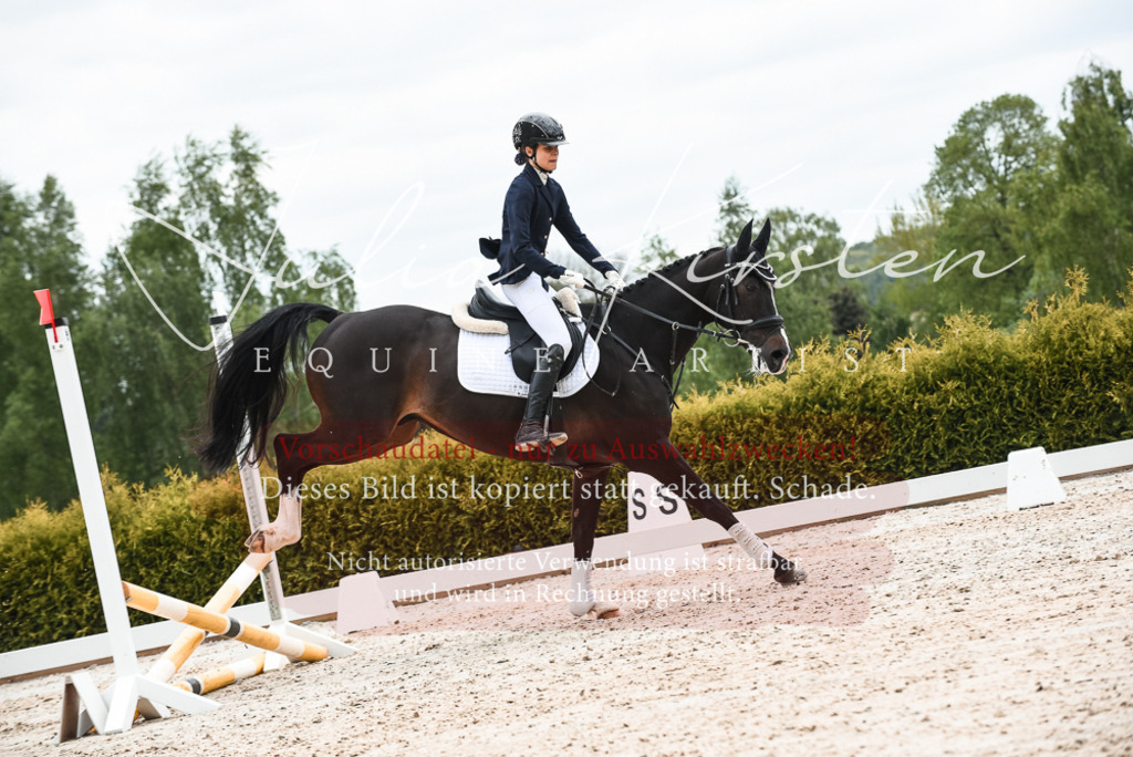 20230518_JK-Röhrsdorf-10-487 | Pferde- und Turnierfotografie in Westsachsen. Pferdeportraits, Auftragszeichnungen und intuitive Kunst.