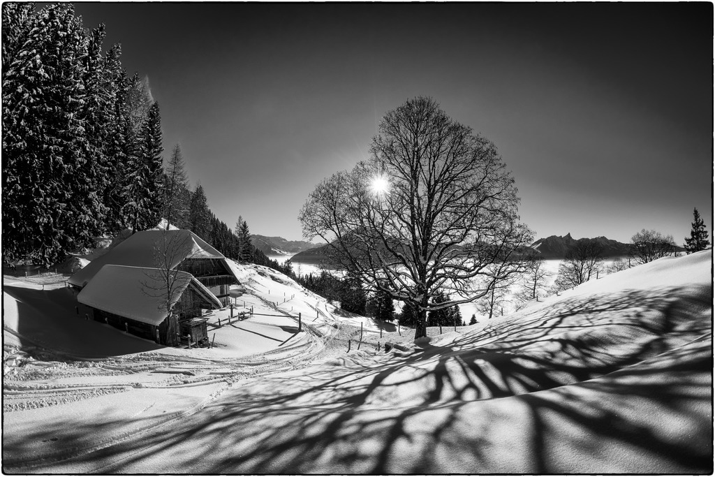 Wilerallmi / Sigriswil | Es ist etwas umständlich, selbst beim Skifahren immer eine Kamera dabei zu haben, aber solche Bilder rechtfertigen dann den Aufwand. Skigebiet Wilerallmi mit Niesen und Stockhornkette und Nebelmeer über dem Thunersee. 
-----------------------------------------------
It's a bit awkward to always have a camera with me even when skiing, but such images justify the effort. Wilerallmi ski area with the Niesen and Stockhorn chain and sea of fog above Lake Thun.
-----------------------------------------------
Dieser Druck ist in einer limitierten Auflage von 5 Exemplaren erhältlich. 
This print is available in a limited edition of 5 copies. 
http://art.hess.photography/31-wilerallmi-sigriswil.html - Realisiert mit Pictrs.com