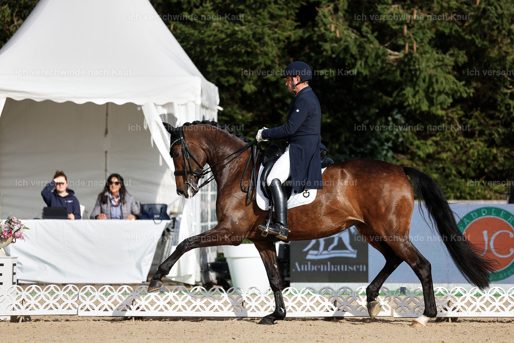 13-226-S___ -StoibPH-6918 | working equitationturnier fotograf videograf stoibphotography marixx film working equitation deutschland reitsport turnierfotografie eventfotografie equestrian events