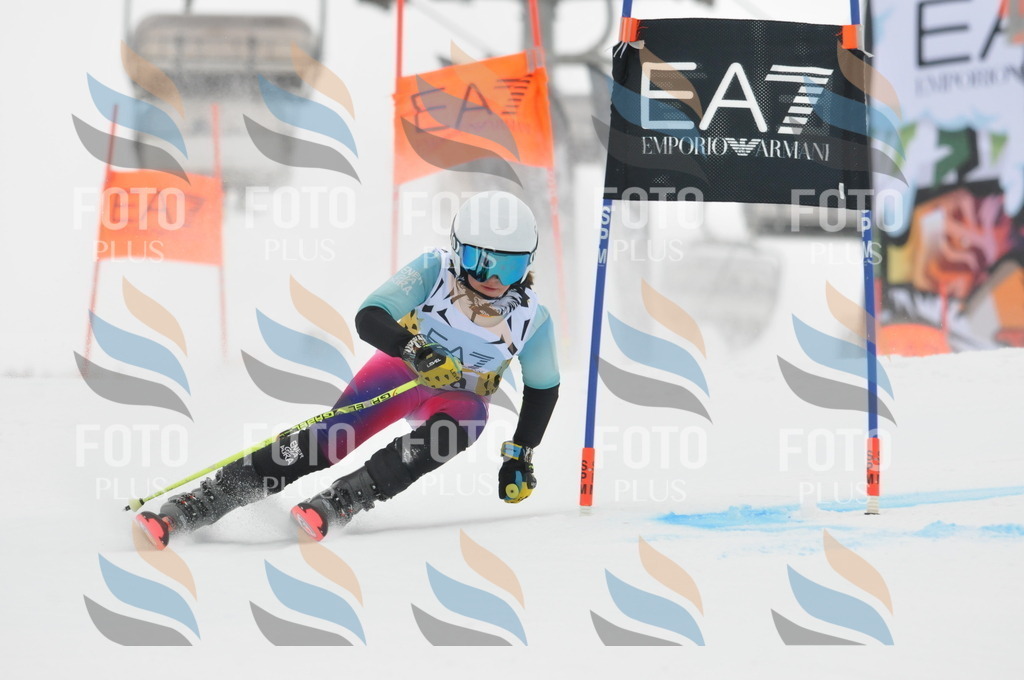 DSC_8288 | holidayphoto