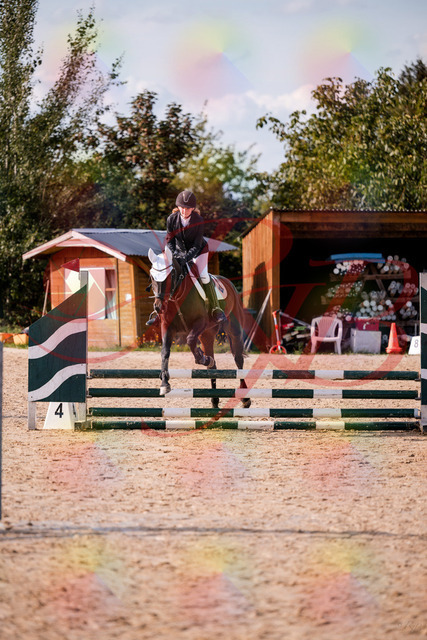 2026_10_03_Siefer-Hof_153547_Z81_47826859 | Professionelle Reitsport-, Turnier- und Eventfotografie von Robert Broda. Galerien mit ausgewählten und bearbeiteten Bildern direkt online ansehen und bestellen.