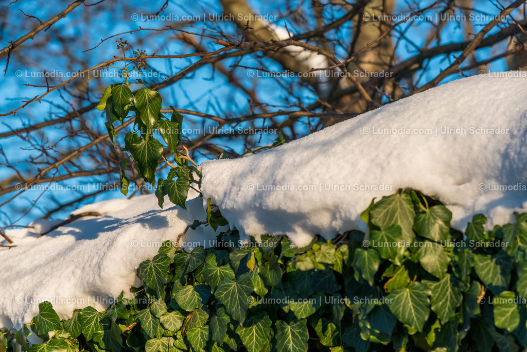 10049-4879 - Klostergärten Drübeck | Stockfoto und Bilderpool mit Bildmaterial aus Deutschland, dem Harz, Halberstadt, Quedlinburg, Wernigerode und weltweit. Qualitativ hochwertige und professionelle Fotos anschauen und kaufen. - Realisiert mit Pictrs.com