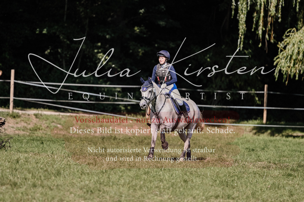 DSC_3211 | Pferde- und Turnierfotografie in Westsachsen. Pferdeportraits, Auftragszeichnungen und intuitive Kunst.