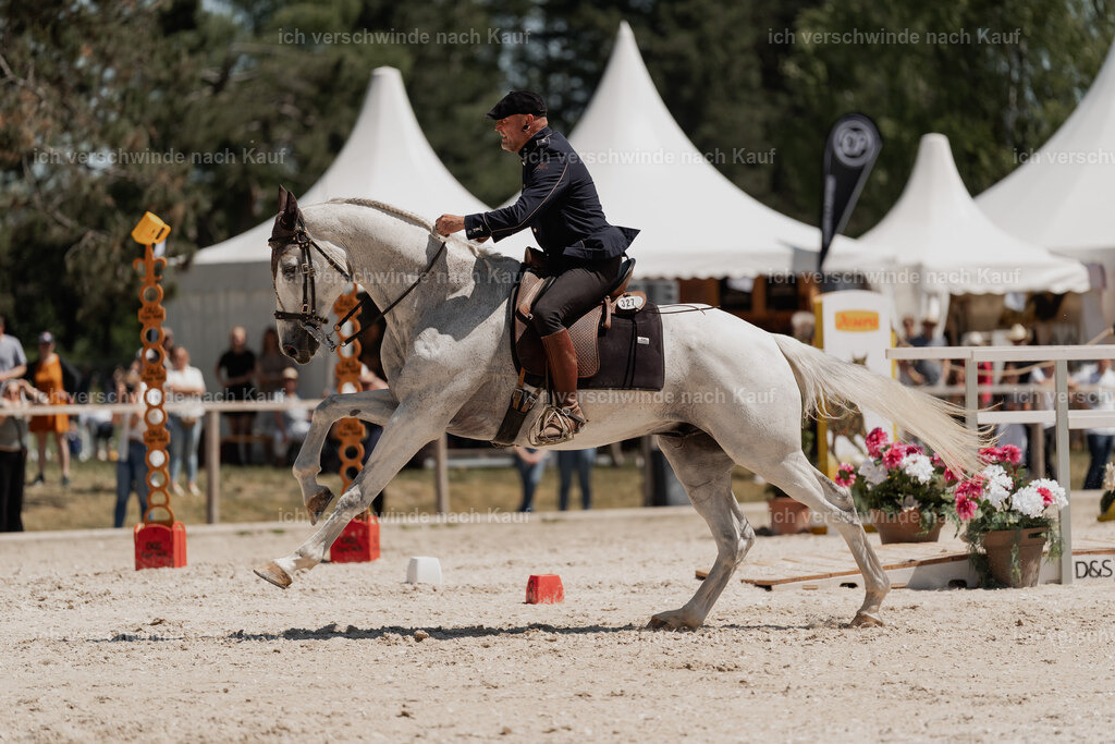 WE_SP_Stoib_327_PI2025_1918 | Pferd International München 2025