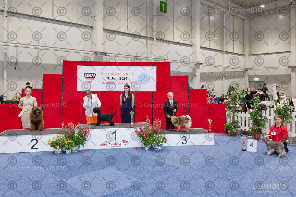 202406_ÖKV-IHA-Tulln24_NZ9_9412 | proPHOTO - Realisiert mit Pictrs.com