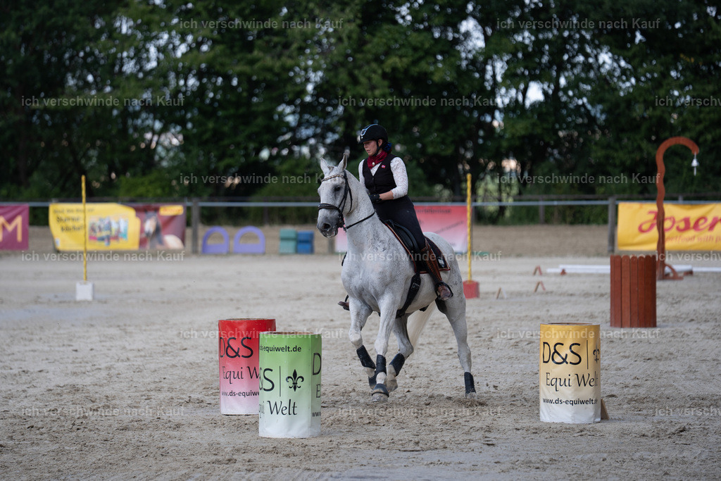 WS_SP_63_SinaFilmArt_IN08331 | working equitationturnier fotograf videograf stoibphotography marixx film working equitation deutschland reitsport turnierfotografie eventfotografie equestrian events