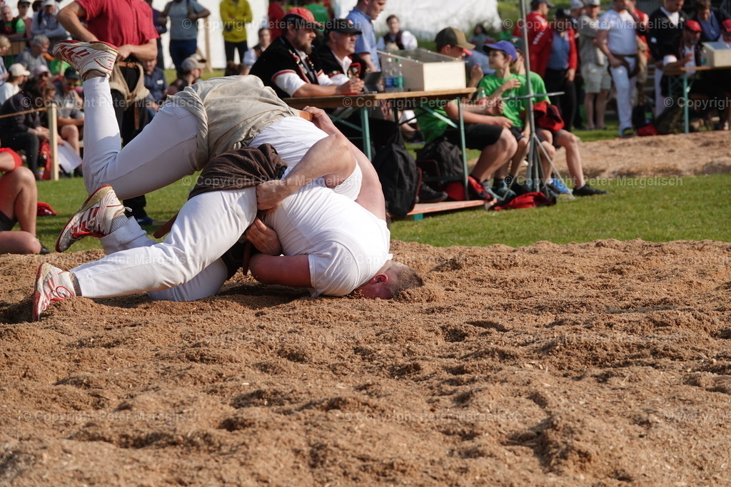 DSC04451 | Schwingen - Realisiert mit Pictrs.com