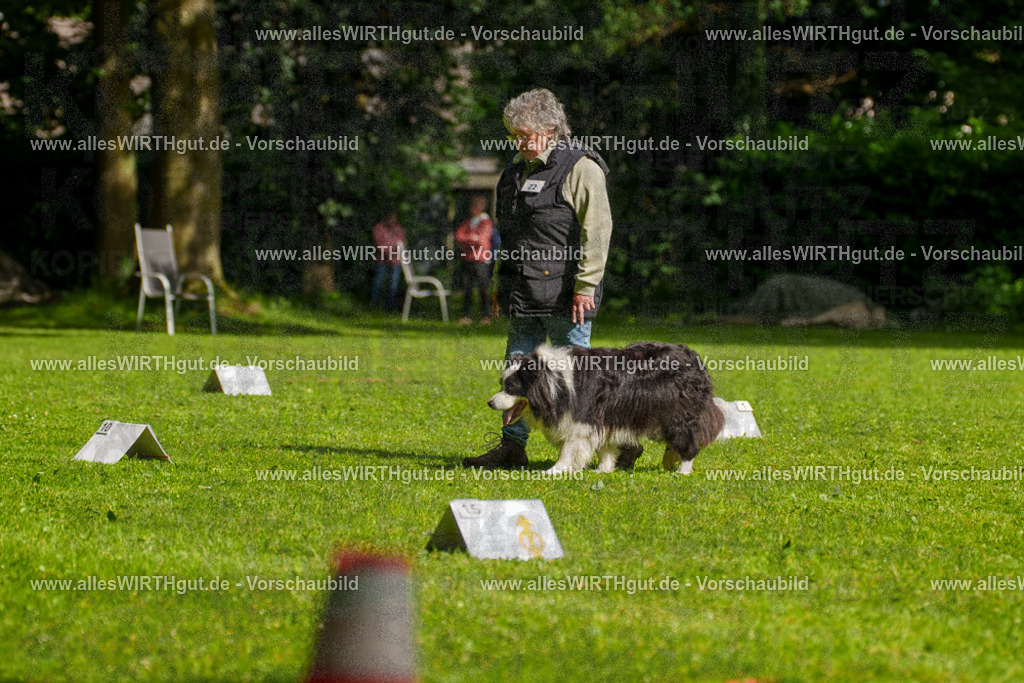 @allesWIRTHgut_Tierfotografie - www.allesWIRTHgut.de - 7R502710 | Professionelle Tierfotografie in Mönchengladbach von Daniel Wirth (allesWIRTHgut). Liebevolle & natürliche Bilder von Hunden & Katzen für unvergessliche Erinnerungen.