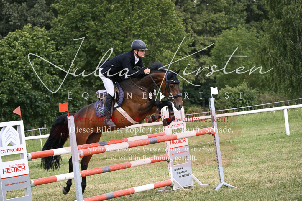 DSC_0751 | Pferde- und Turnierfotografie in Westsachsen. Pferdeportraits, Auftragszeichnungen und intuitive Kunst.