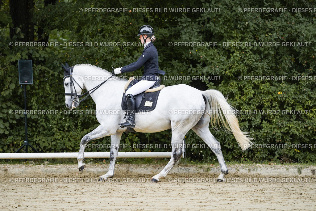 DSC08566 | Pferdegrafie