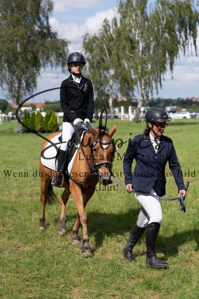 A7V03301 | Pferdefotograf