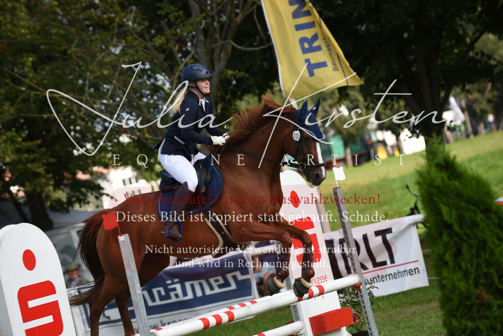 DSC_8851 | Pferde- und Turnierfotografie in Westsachsen. Pferdeportraits, Auftragszeichnungen und intuitive Kunst.