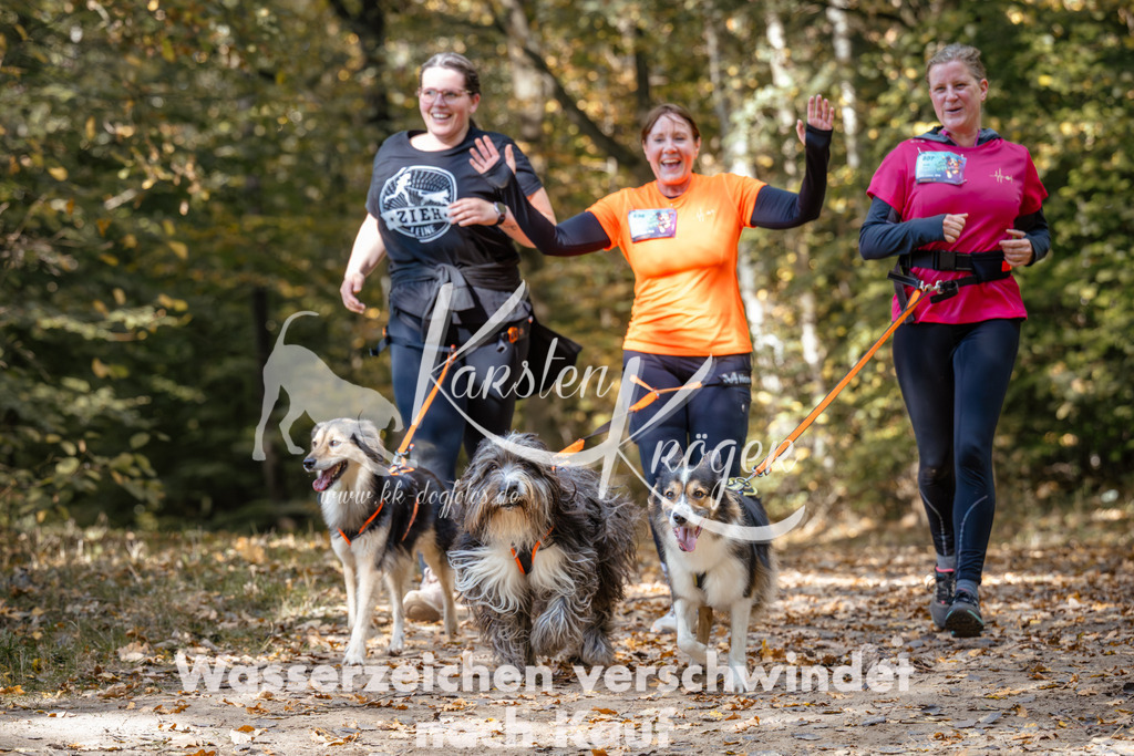 1247_ZZ96253 | kk-dogfotos