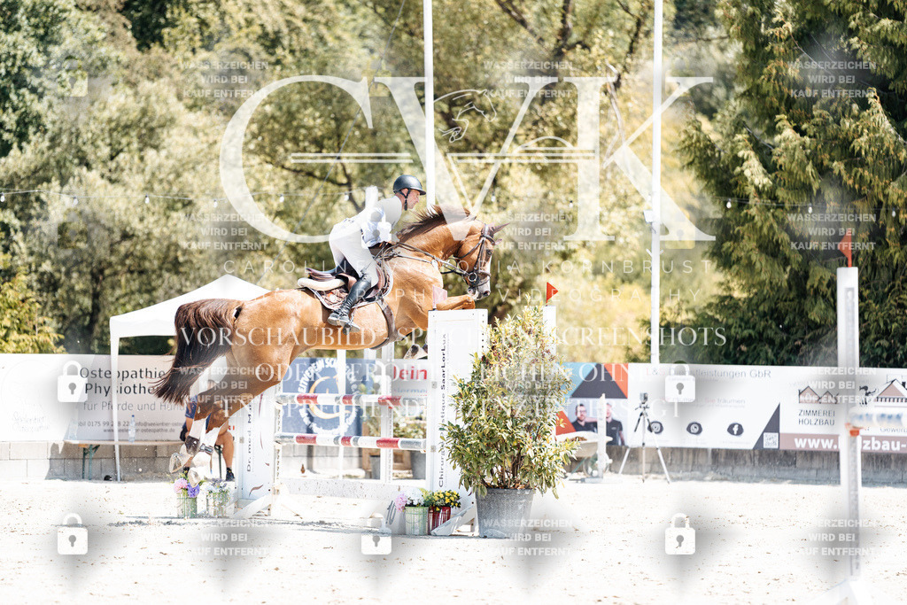CK900214 | Turnierfotografie Pferdefotografie Trier Rheinland-Pfalz Pferdesport Reitsport Tierfotografie Sportfotografie Pferdevideo Pferdevideografie Equestrianvideography equestrianphotography  - Realisiert mit Pictrs.com