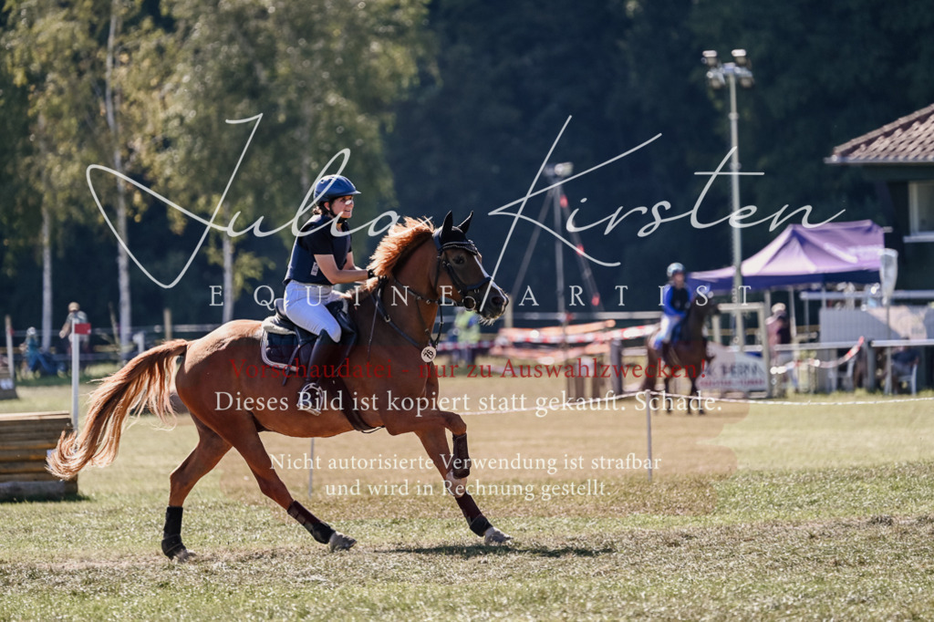 DSC_3051 | Pferde- und Turnierfotografie in Westsachsen. Pferdeportraits, Auftragszeichnungen und intuitive Kunst.