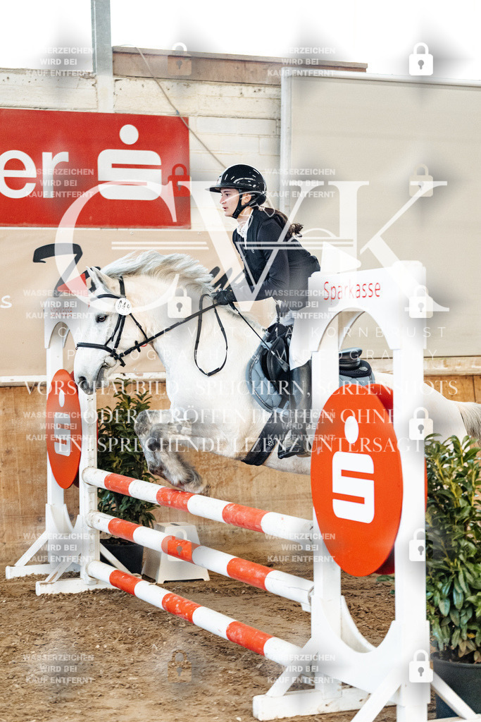 CK904806 | Turnierfotografie Pferdefotografie Trier Rheinland-Pfalz Pferdesport Reitsport Tierfotografie Sportfotografie Pferdevideo Pferdevideografie Equestrianvideography equestrianphotography  - Realized with Pictrs.com