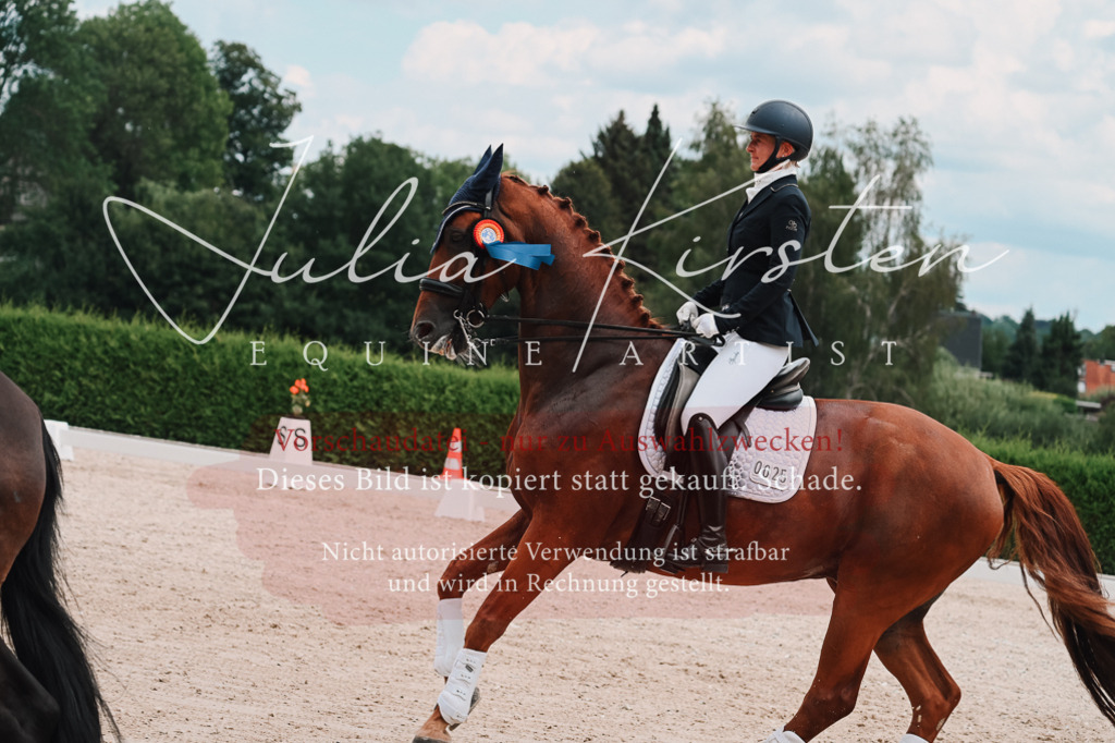 DSC_4434 | Pferde- und Turnierfotografie in Westsachsen. Pferdeportraits, Auftragszeichnungen und intuitive Kunst.