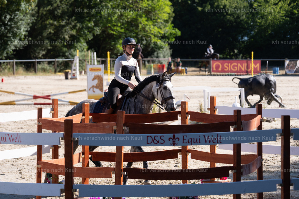 WL_SP_6_SinaFilmArt_IN05563 | working equitationturnier fotograf videograf stoibphotography marixx film working equitation deutschland reitsport turnierfotografie eventfotografie equestrian events