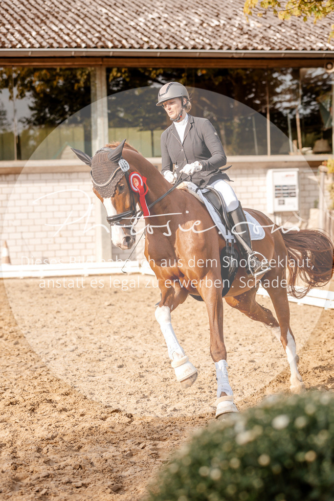 3I6A2670 | Stimmungsvolle Portraits und Reitsportfotografie im Ruhrgebiet und im Münsterland.

Pferdefotografie, Hundefotografie, Tierfotografie, Reportagen, Portraits von Tier und Mensch, Turnierfotografie in Bochum, Recklinghausen, Marl, Haltern am See, Dülmen.. - Realisiert mit Pictrs.com
