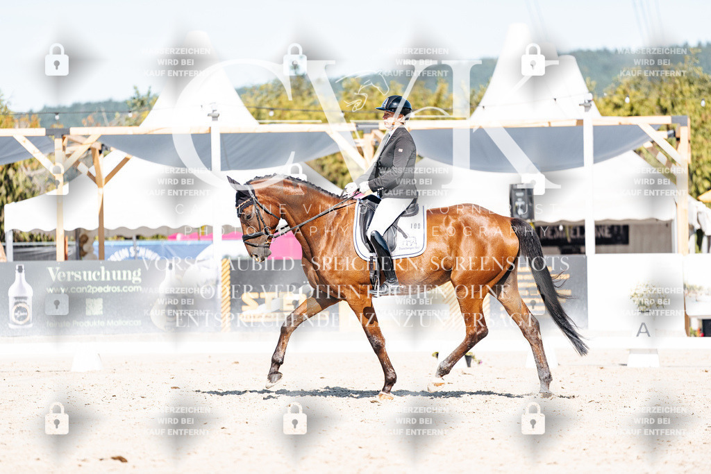 CK908274 | Turnierfotografie Pferdefotografie Trier Rheinland-Pfalz Pferdesport Reitsport Tierfotografie Sportfotografie Pferdevideo Pferdevideografie Equestrianvideography equestrianphotography  - Realisiert mit Pictrs.com