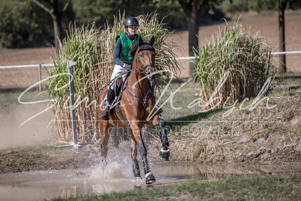 20260906-_3LI5570 | Tierfotografie Pferde, Hunde, Katzen, Haustiere.
Turnierfotografie Reitturniere, Reiten, Springreiten, Dressur in Hanau, dem Main-Kinzig-Kreis und dem Rhein-Main- Gebiet um Frankfurt
