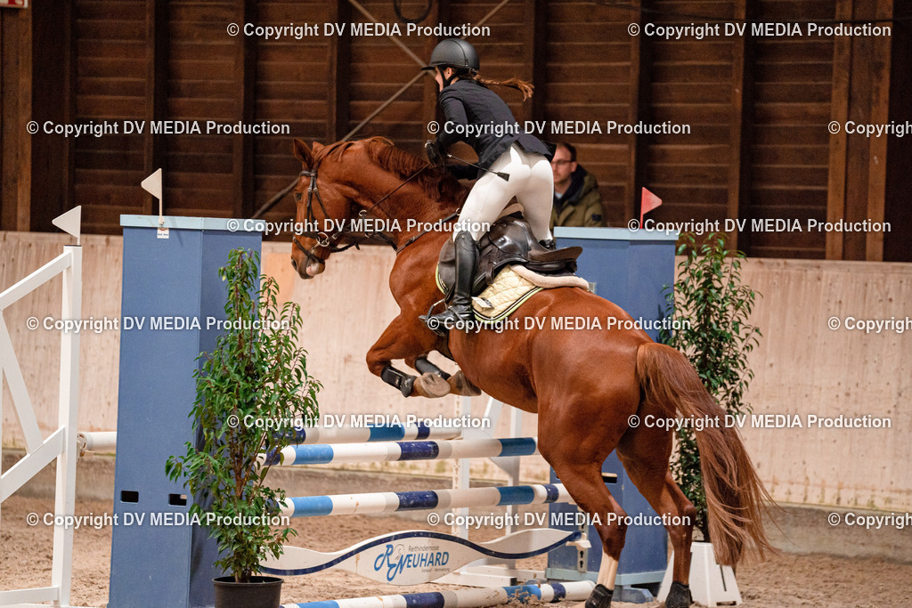 Springen Tag 2-501 | dv-media-shop - Realisiert mit Pictrs.com