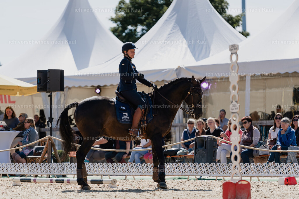 Mirjam25_FHC2025-08644 | working equitationturnier fotograf videograf stoibphotography marixx film working equitation deutschland reitsport turnierfotografie eventfotografie equestrian events