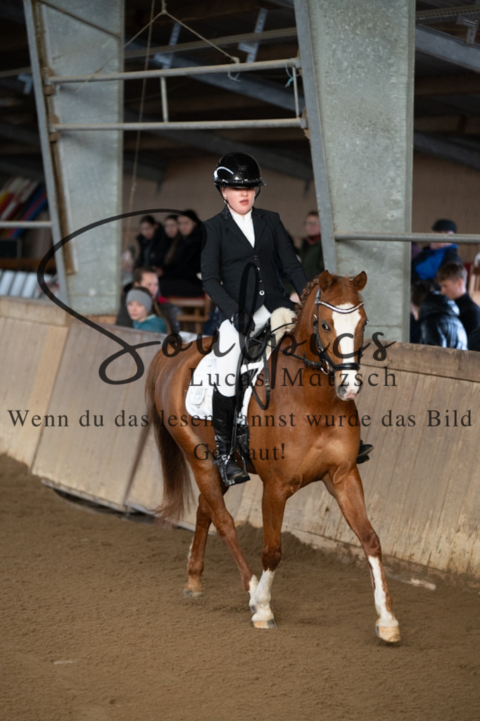 A7V05112 | Pferdefotograf