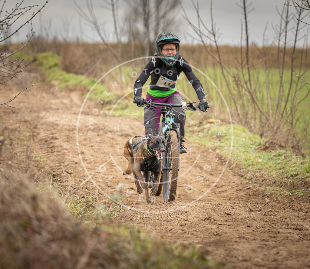 DV3A0859 | Hundefotografie, Tierfotograf, Pfotenfotografie, Fotoshooting Hund, Hunde Portrait, Hundesport, Hundeportraits, Heideshooting, Hunde, Sportfotograf, Hundefotograf, Turnierhundsport, THS,  - Realisiert mit Pictrs.com