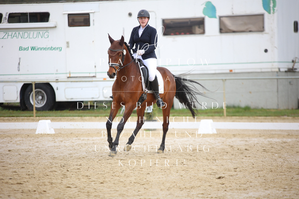 IMGT5311 | pl-fotografie