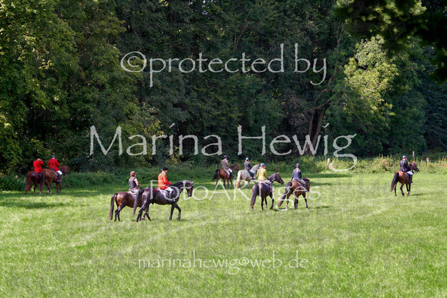 08-23 Bredeneek Jagd_MCH9508_Marina Hewig | Fotografie, FotoArt, PferdesportArt, Pferdesportfotografie, Landschaftsfotografie, Reisefotografie, Reise, Pferde - Realisiert mit Pictrs.com