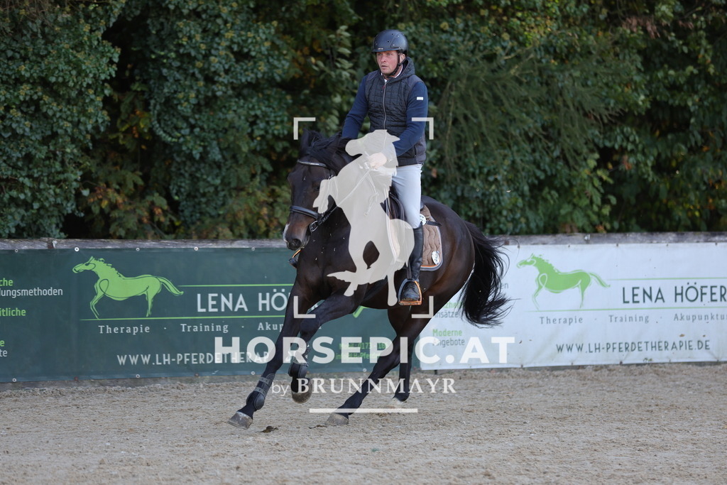 0P6A1442 | Willkommen bei Brunnmayr - Design & Fotografie – Ihrem Spezialisten für Reitturniere und Pferdeveranstaltungen in Oberösterreich, Salzburg und Bayern! Seit über 17 Jahren sind wir leidenschaftlich dabei.