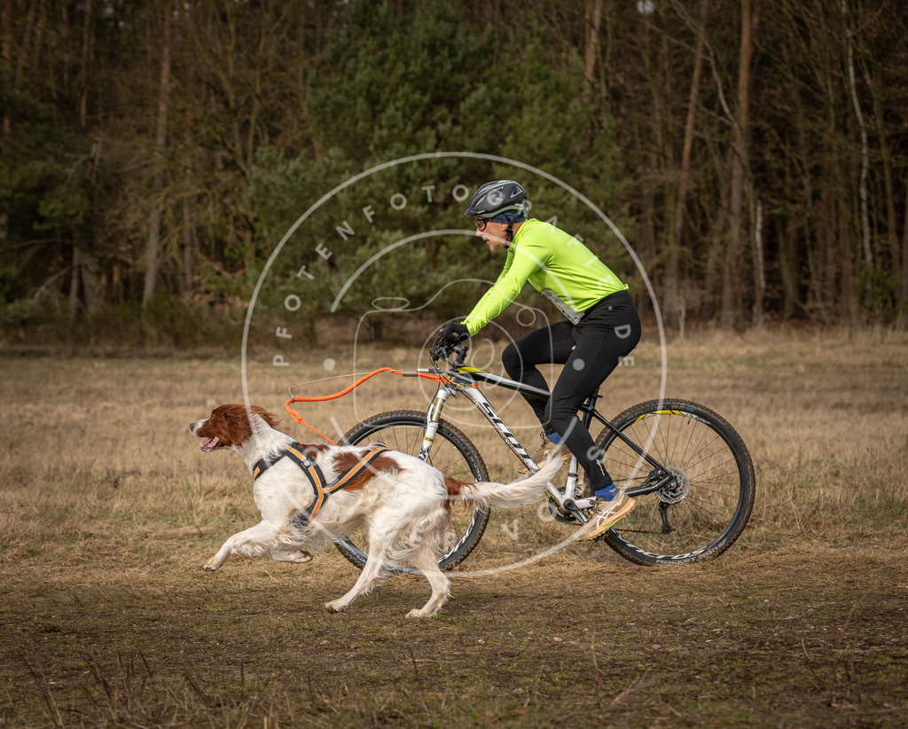 DV3A4597 | Hundefotografie, Tierfotograf, Pfotenfotografie, Fotoshooting Hund, Hunde Portrait, Hundesport, Hundeportraits, Heideshooting, Hunde, Sportfotograf, Hundefotograf, Turnierhundsport, THS,  - Realisiert mit Pictrs.com
