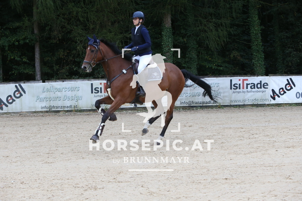 DL2Q0115 | Willkommen bei Brunnmayr - Design & Fotografie – Ihrem Spezialisten für Reitturniere und Pferdeveranstaltungen in Oberösterreich, Salzburg und Bayern! Seit über 17 Jahren sind wir leidenschaftlich dabei.